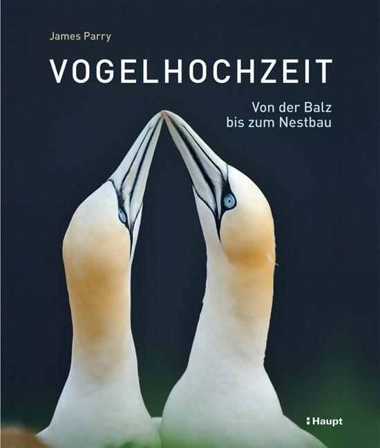 Cover: 9783258077437 | Vogelhochzeit | Von der Balz bis zum Nestbau | James Parry | Buch