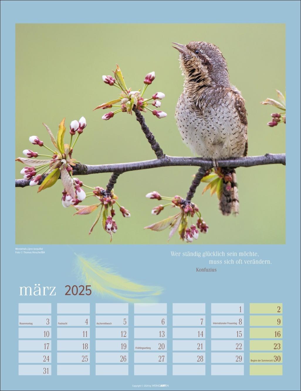 Bild: 9783839900710 | Heimische Vögel Kalender 2025 | Kalender | Spiralbindung | 14 S.