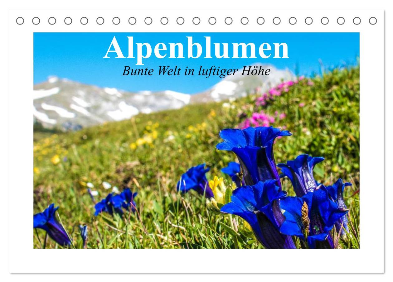 Cover: 9783435598014 | Alpenblumen. Bunte Welt in luftiger Höhe (Tischkalender 2025 DIN A5...