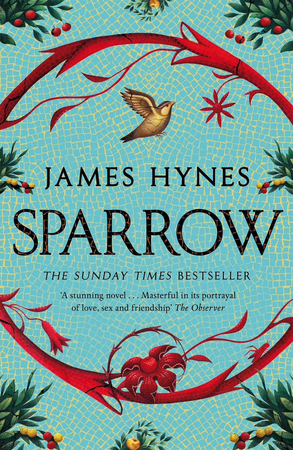 Cover: 9781529092394 | Sparrow | James Hynes | Buch | Englisch | 2023 | Pan Macmillan