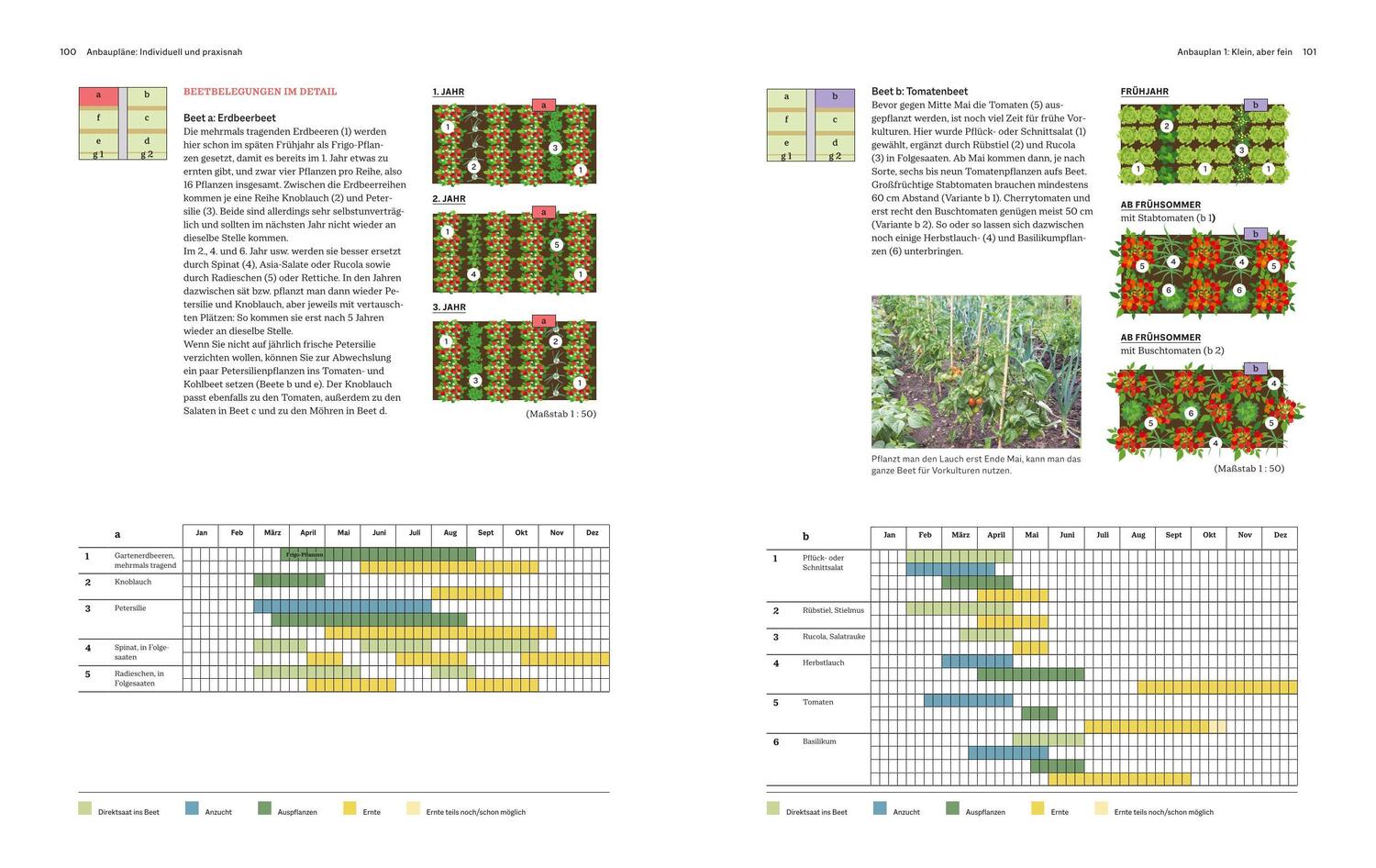 Bild: 9783967470000 | Das große BLV Handbuch Gemüse-Anbauplanung | Joachim Mayer | Buch