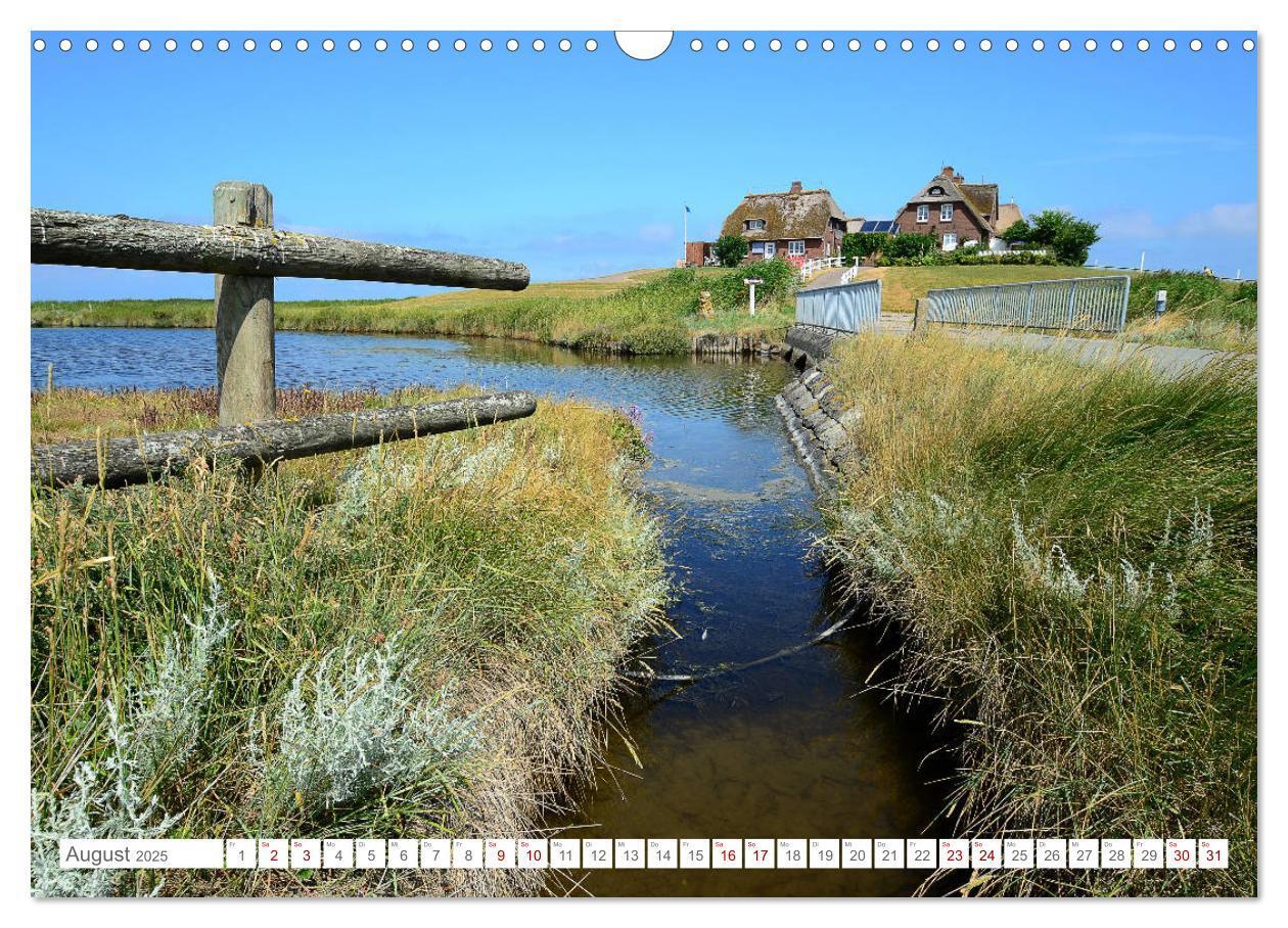 Bild: 9783435256853 | Sommertage auf Hallig Hooge (Wandkalender 2025 DIN A3 quer),...