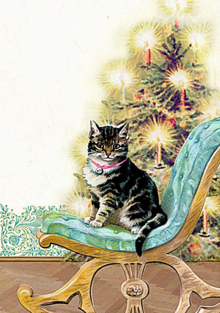 Bild: 4050003943695 | Wand-Adventskalender - Katzen im Advent | Barbara Behr | Kalender