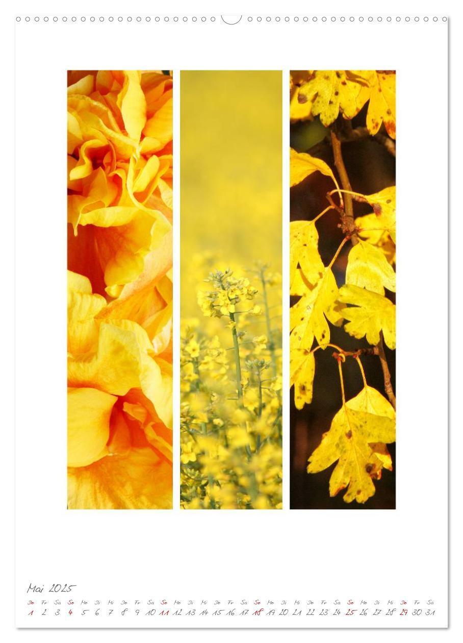 Bild: 9783457046609 | Natur Farben Dreiklang (Wandkalender 2025 DIN A2 hoch), CALVENDO...