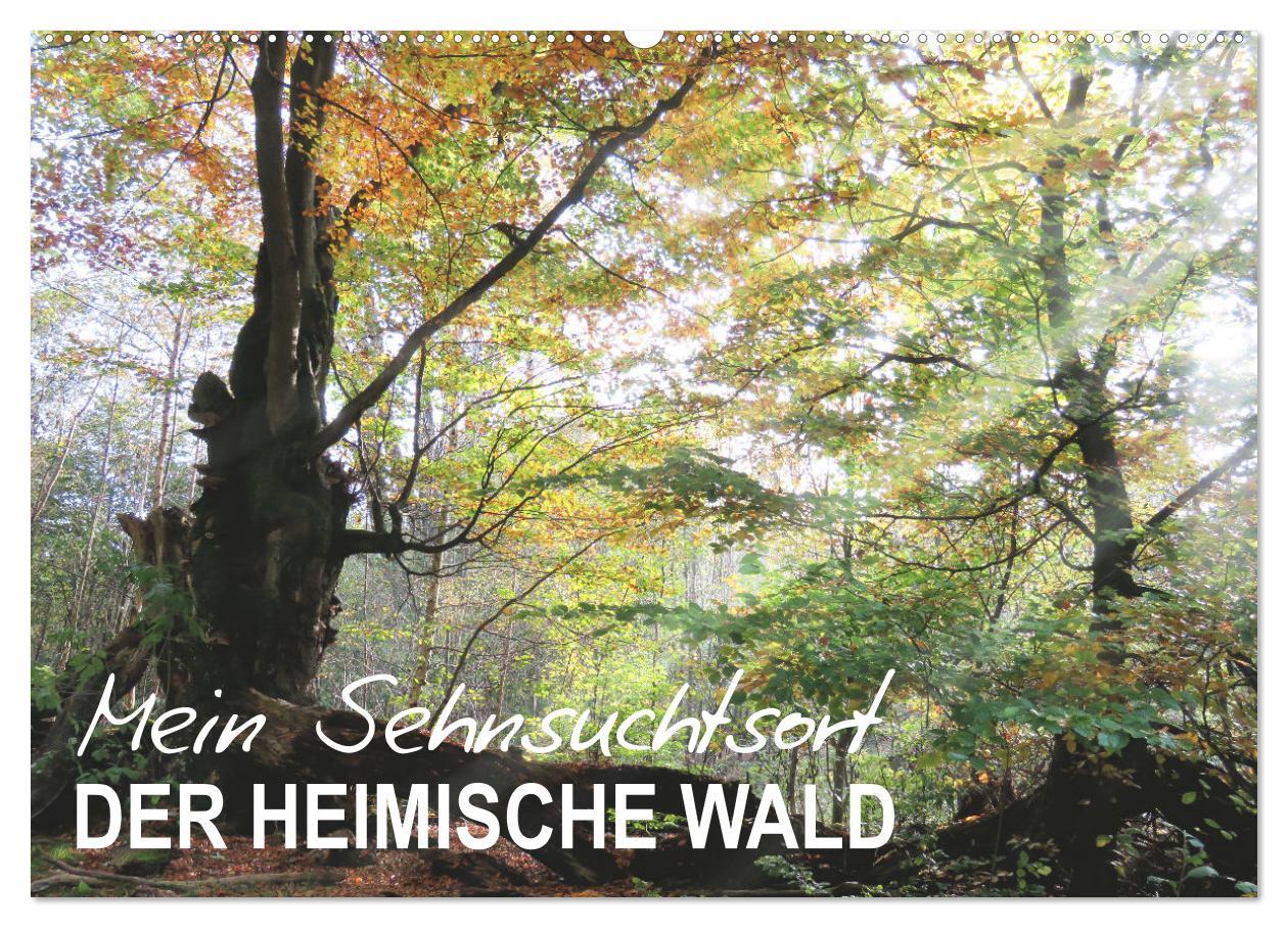 Cover: 9783435079957 | Mein Sehnsuchtsort, der heimische Wald (Wandkalender 2025 DIN A2...