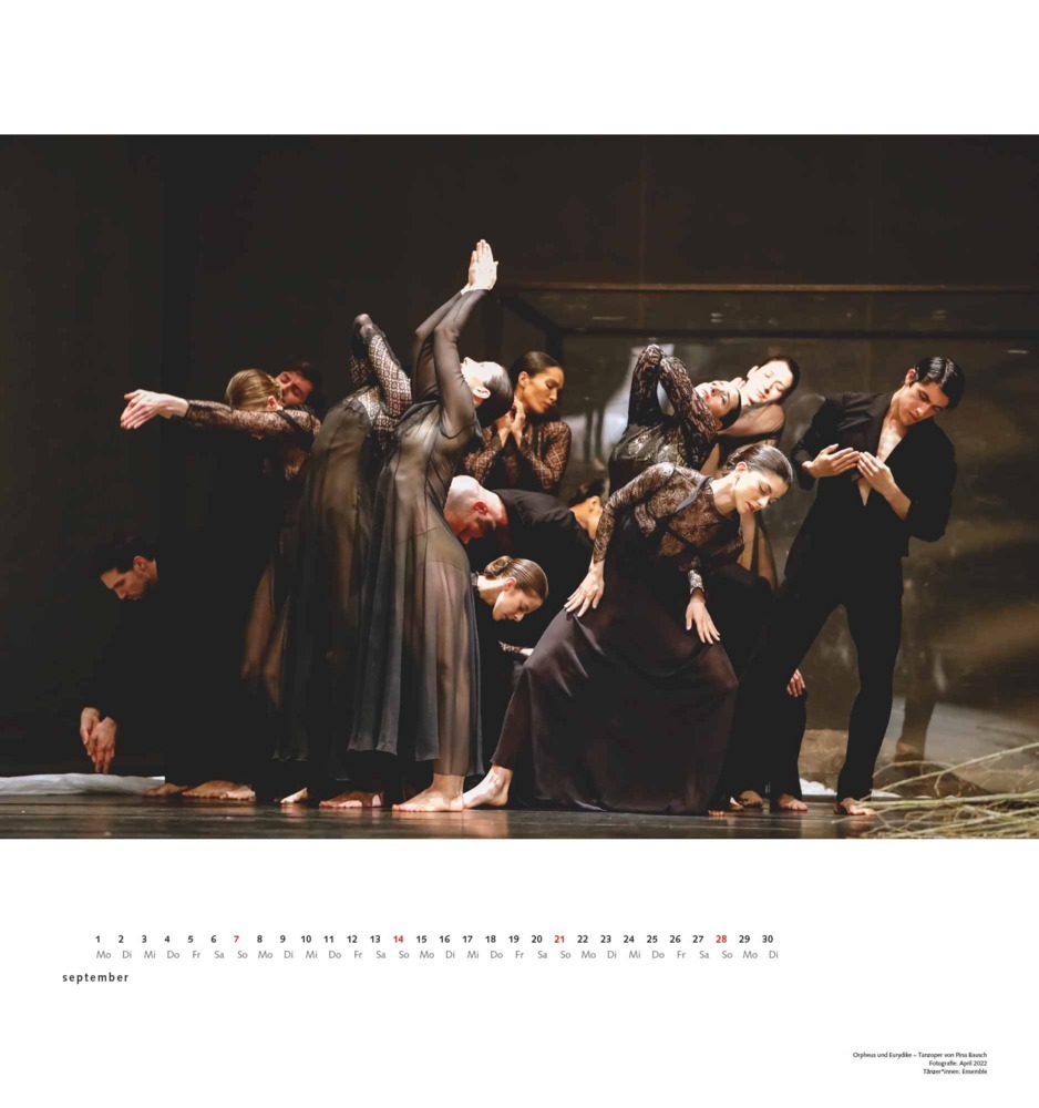 Bild: 4250809652993 | DUMONT - Pina Bausch - Tanztheater Wuppertal 2025 Wandkalender,...