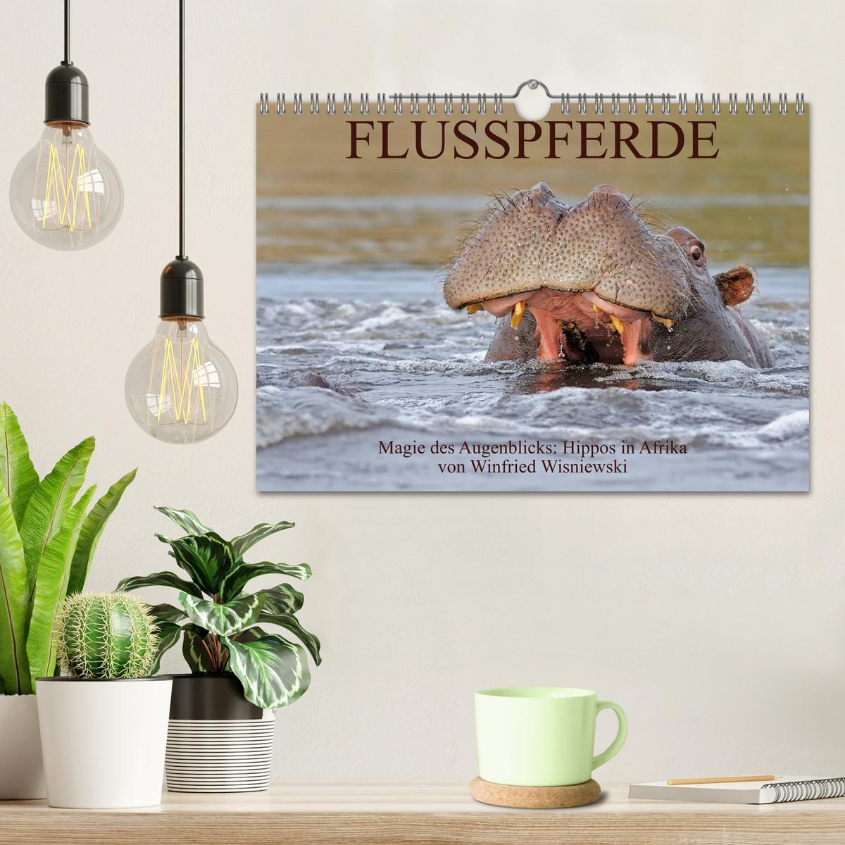 Bild: 9783435761456 | Flusspferde Magie des Augenblicks - Hippos in Afrika (Wandkalender...