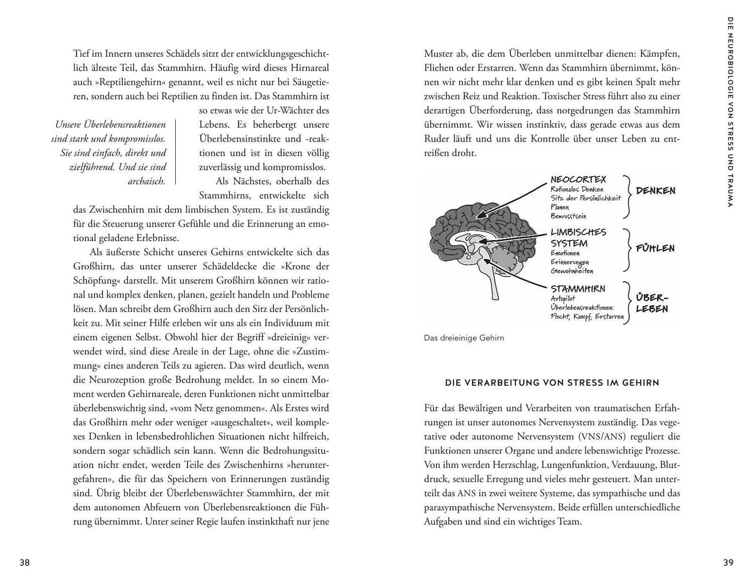 Bild: 9783833878350 | Bin ich traumatisiert? | Verena König | Taschenbuch | 256 S. | Deutsch