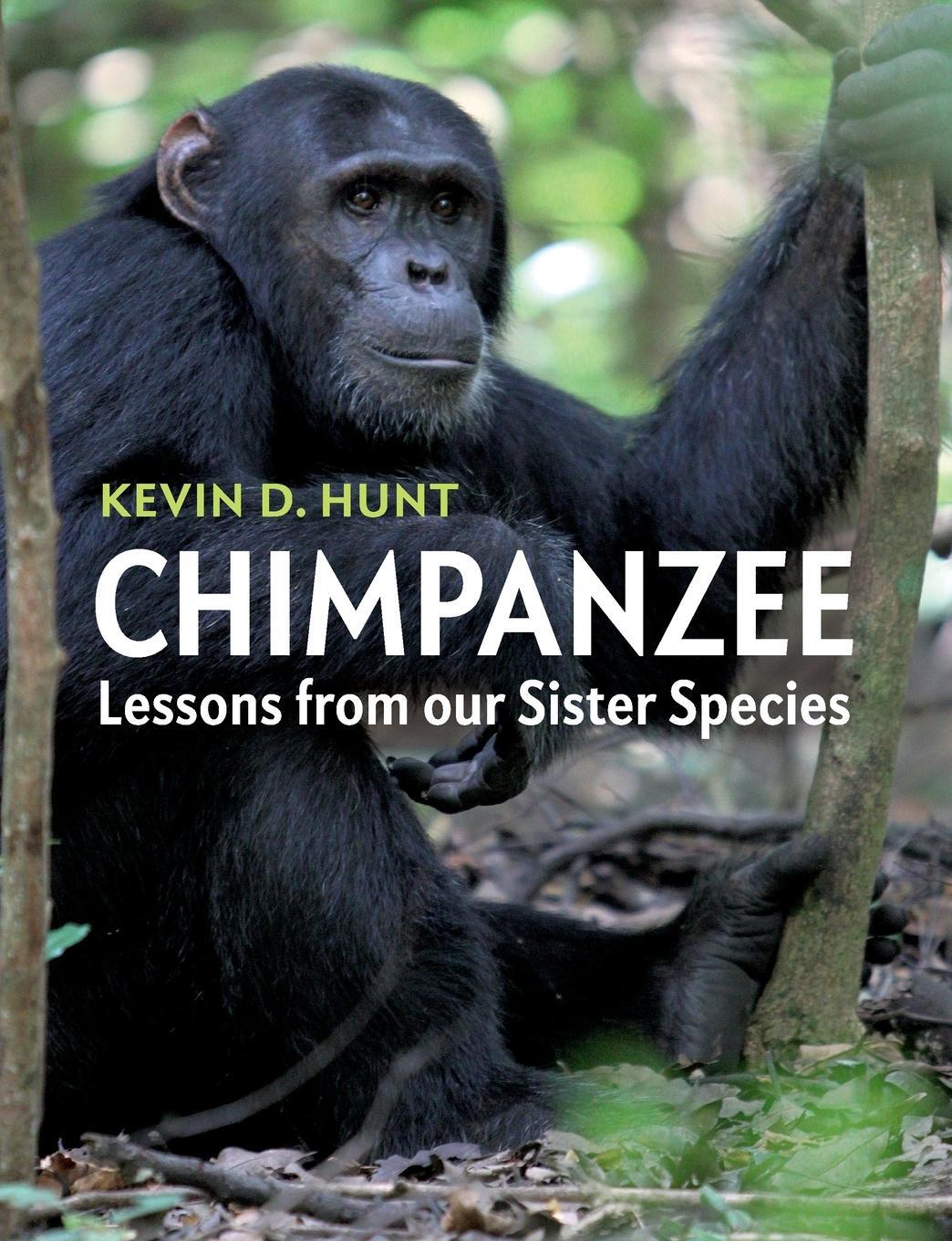 Cover: 9781107544413 | Chimpanzee | Kevin D. Hunt | Taschenbuch | Paperback | Englisch | 2024