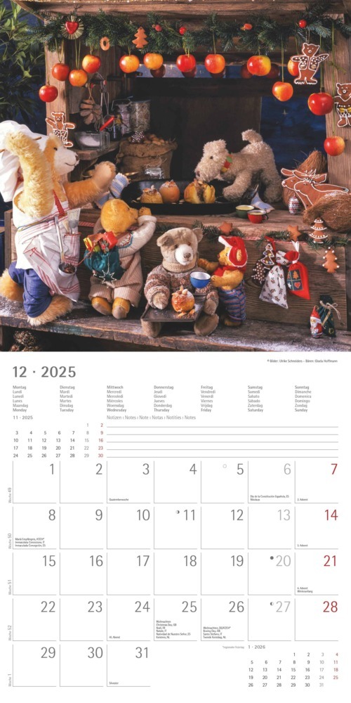 Bild: 4251732340643 | Alpha Edition - Teddy 2025 Broschürenkalender, 30x30cm,...