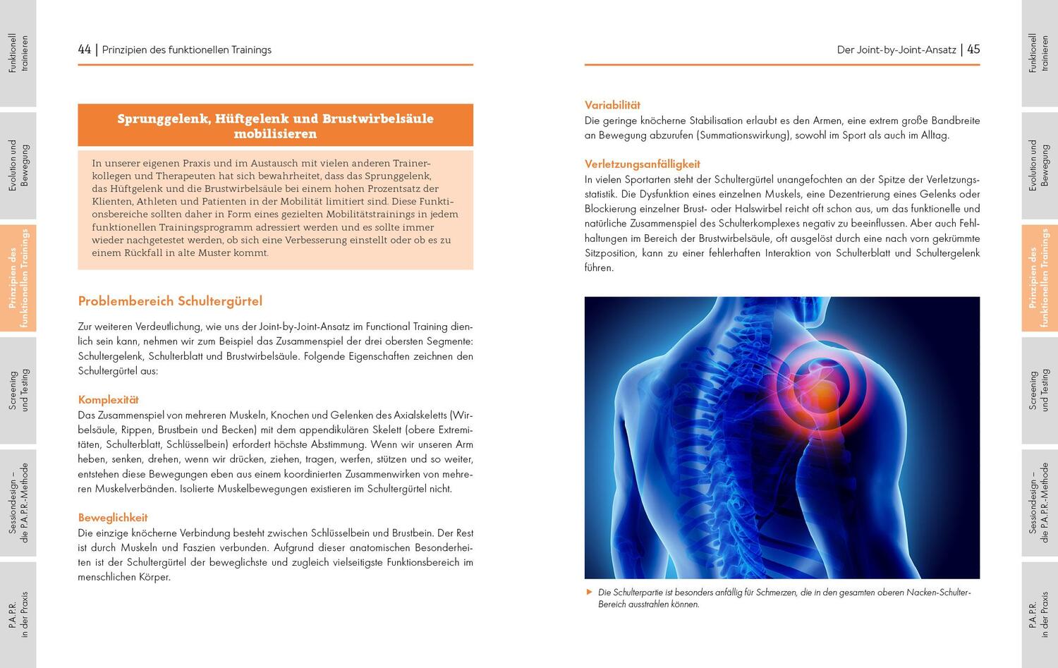 Bild: 9783868837292 | Programmdesign im Functional Training | Eberhard Schlömmer (u. a.)