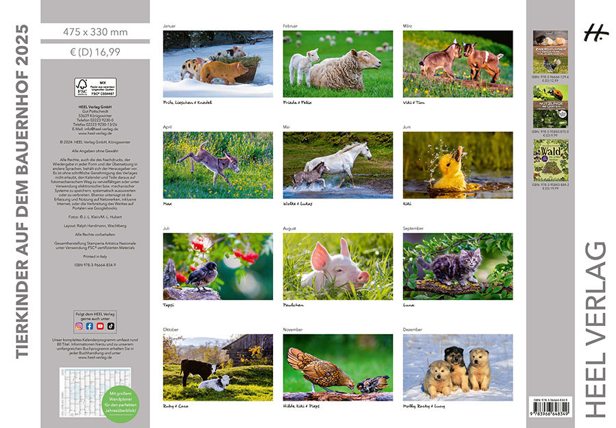 Bild: 9783966648349 | Tierkinder auf dem Bauernhof Kalender 2025 | J.-L. Klein (u. a.)