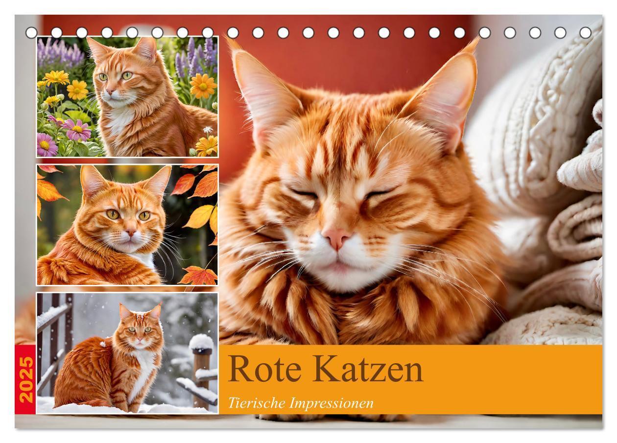 Cover: 9783383817885 | Rote Katzen (Tischkalender 2025 DIN A5 quer), CALVENDO Monatskalender