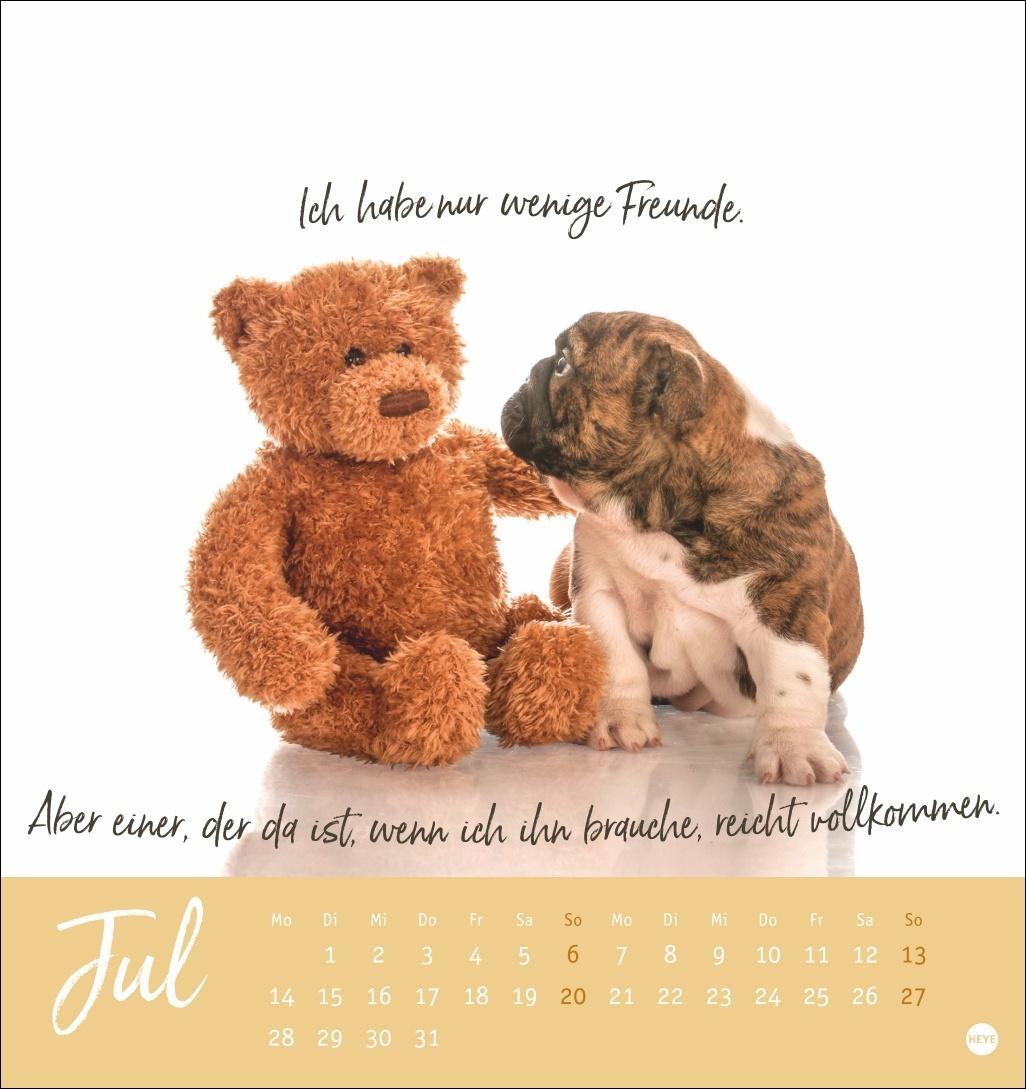 Bild: 9783756407064 | Ziemlich beste Freunde Postkartenkalender 2025 - Für immer dein | Heye