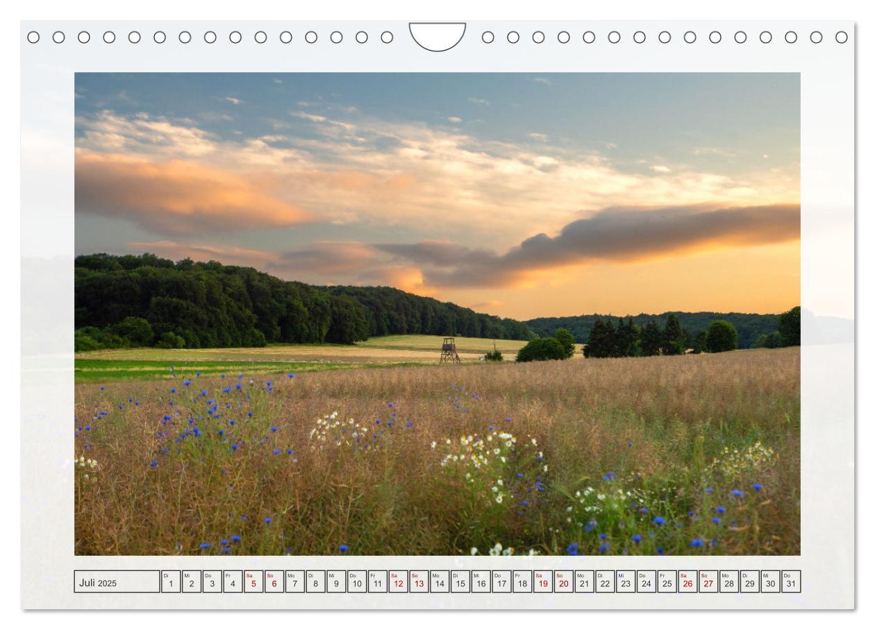 Bild: 9783457243060 | Naturpark Dümmer (Wandkalender 2025 DIN A4 quer), CALVENDO...