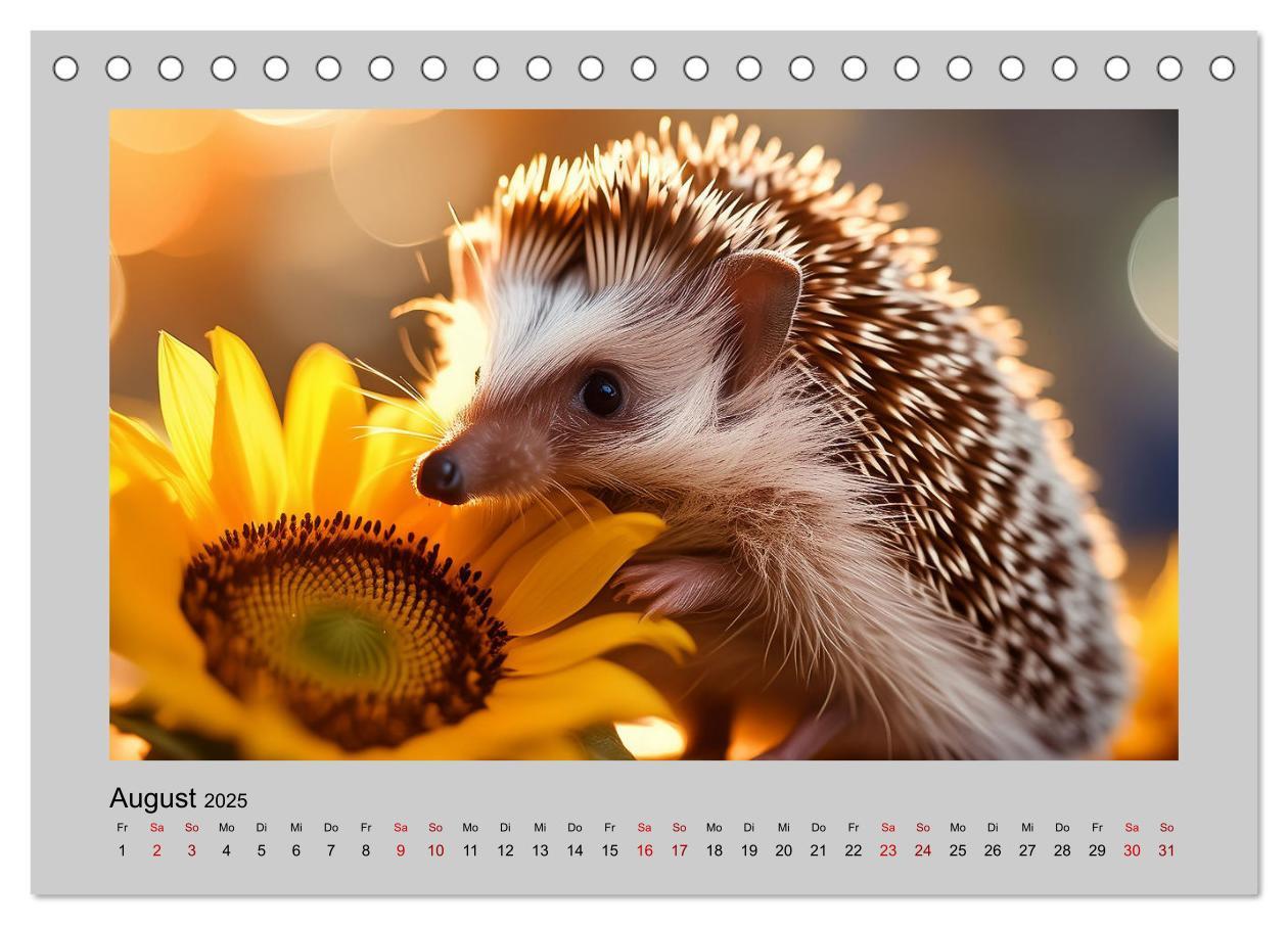 Bild: 9783435516230 | Mein Igel-Kalender (Tischkalender 2025 DIN A5 quer), CALVENDO...