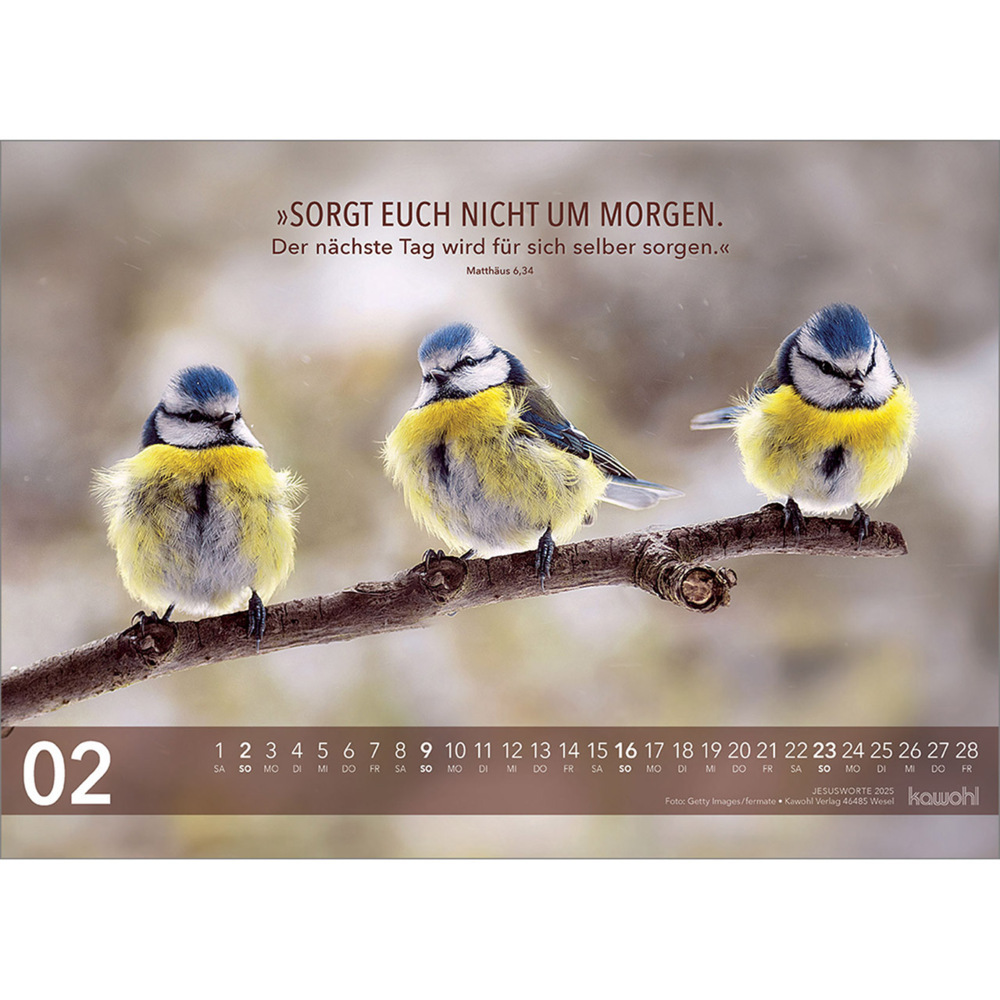 Bild: 9783754804650 | Jesus Worte 2025 | Wegweisende Worte und brillante Bilder | Kalender