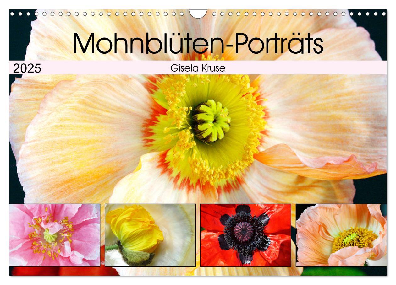 Cover: 9783435209125 | Mohnblüten-Porträts (Wandkalender 2025 DIN A3 quer), CALVENDO...