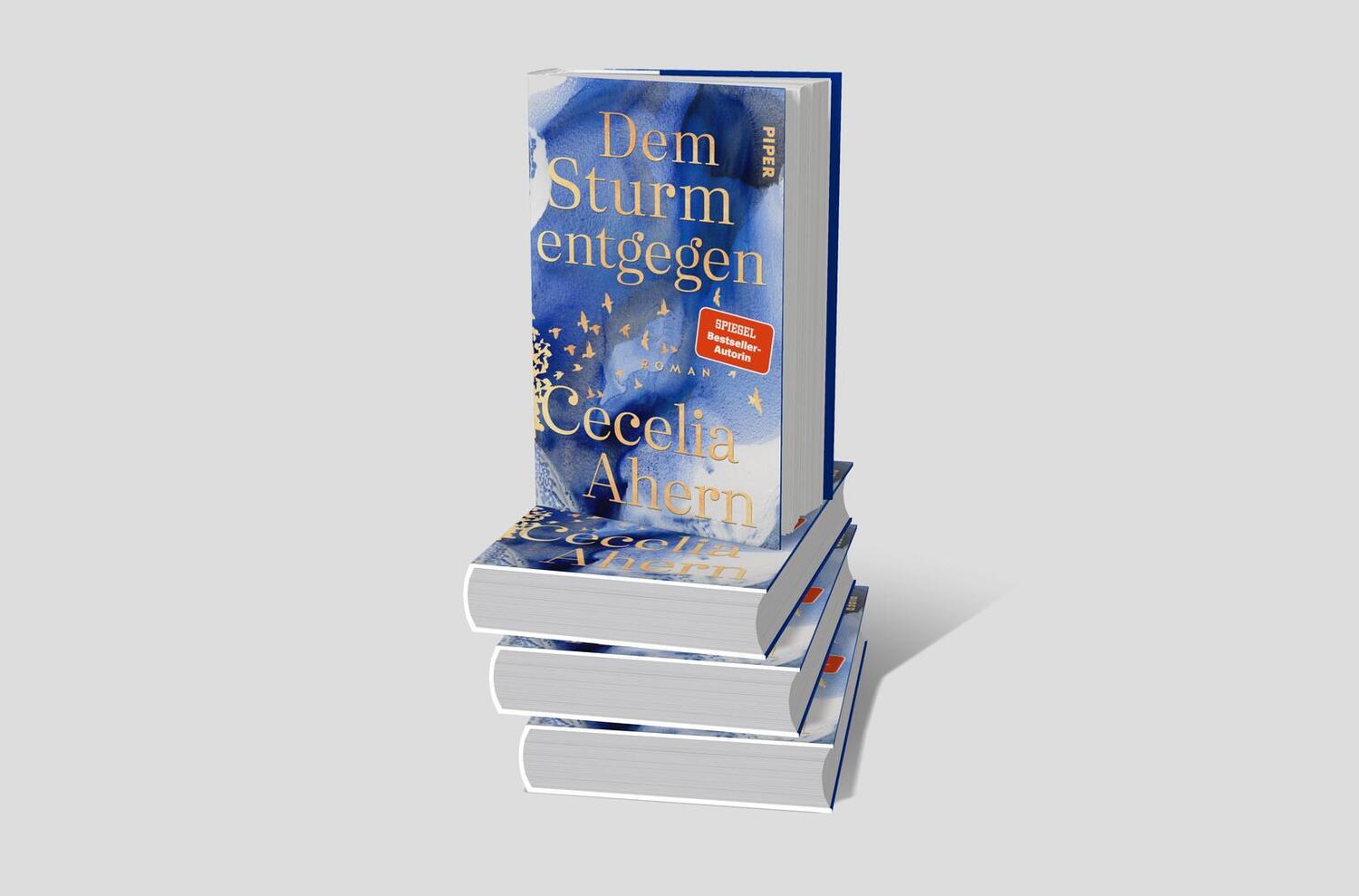 Bild: 9783492071819 | Dem Sturm entgegen | Cecelia Ahern | Buch | 448 S. | Deutsch | 2024