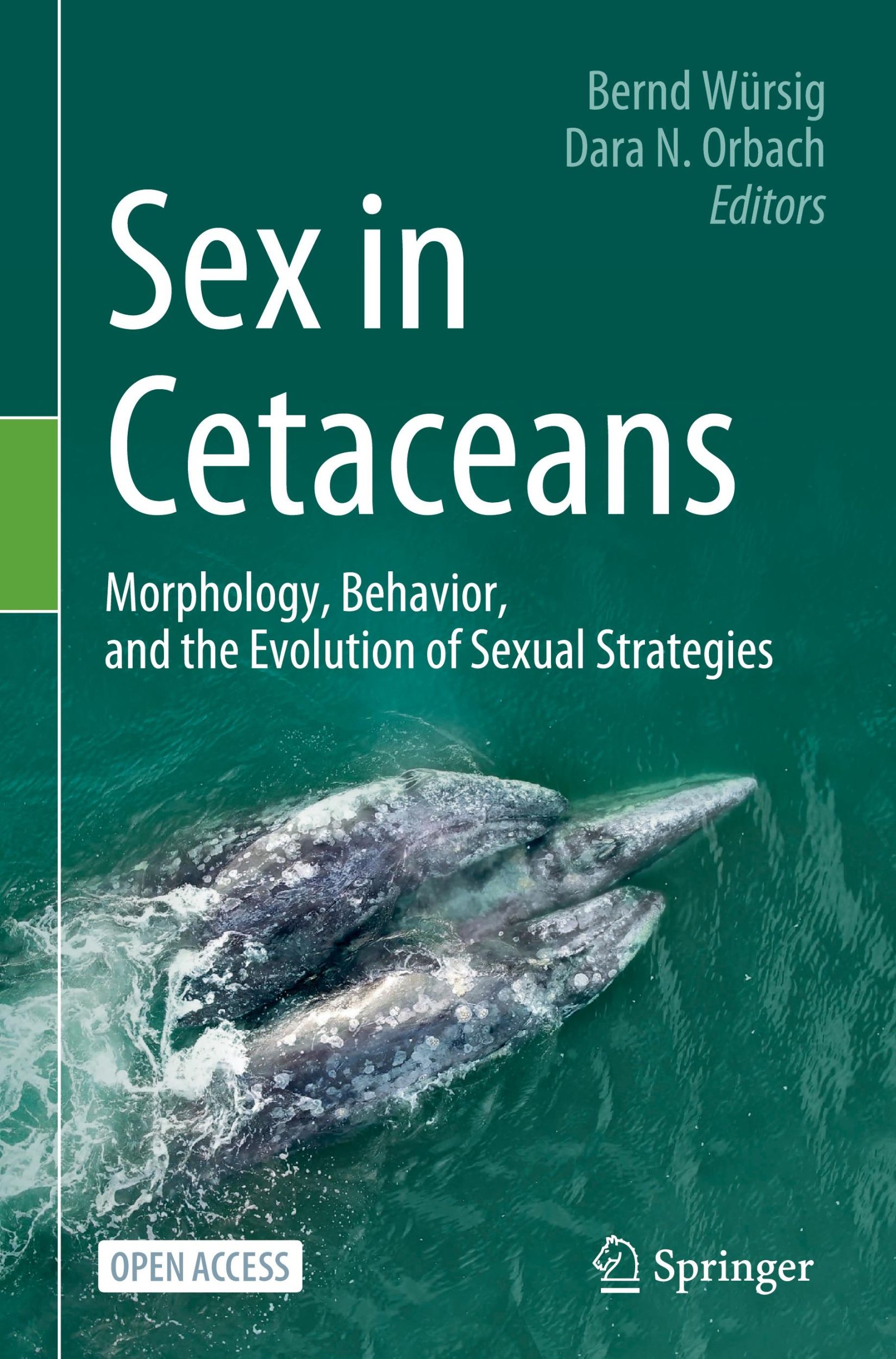 Cover: 9783031356506 | Sex in Cetaceans | Dara N. Orbach (u. a.) | Buch | ix | Englisch