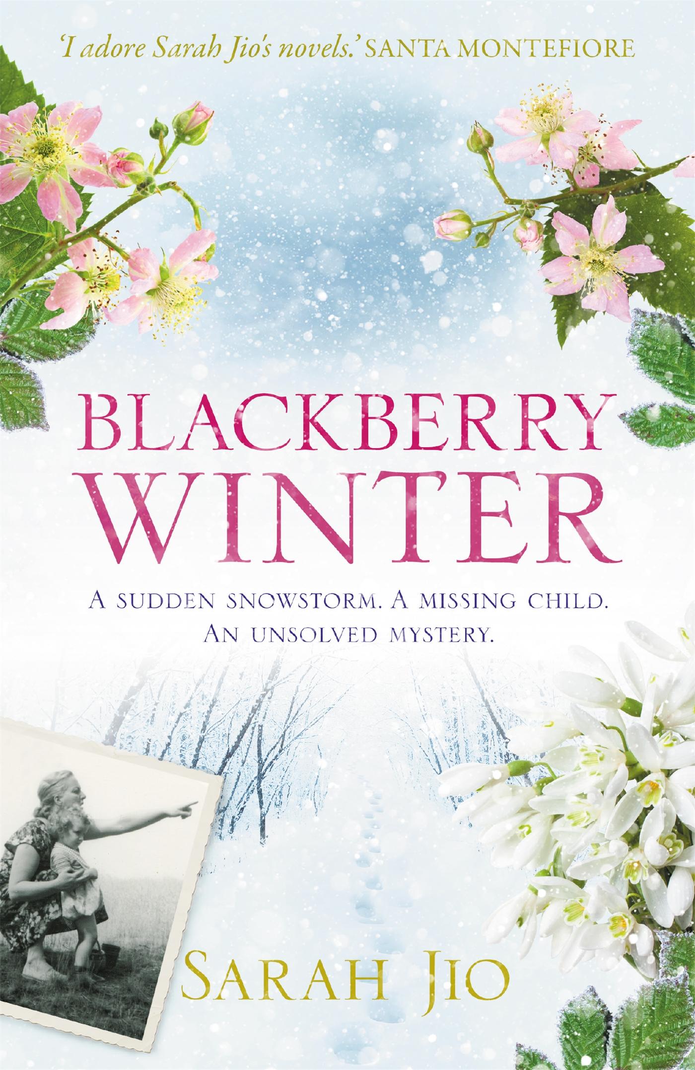 Cover: 9781409190776 | Blackberry Winter | Sarah Jio | Taschenbuch | Kartoniert / Broschiert