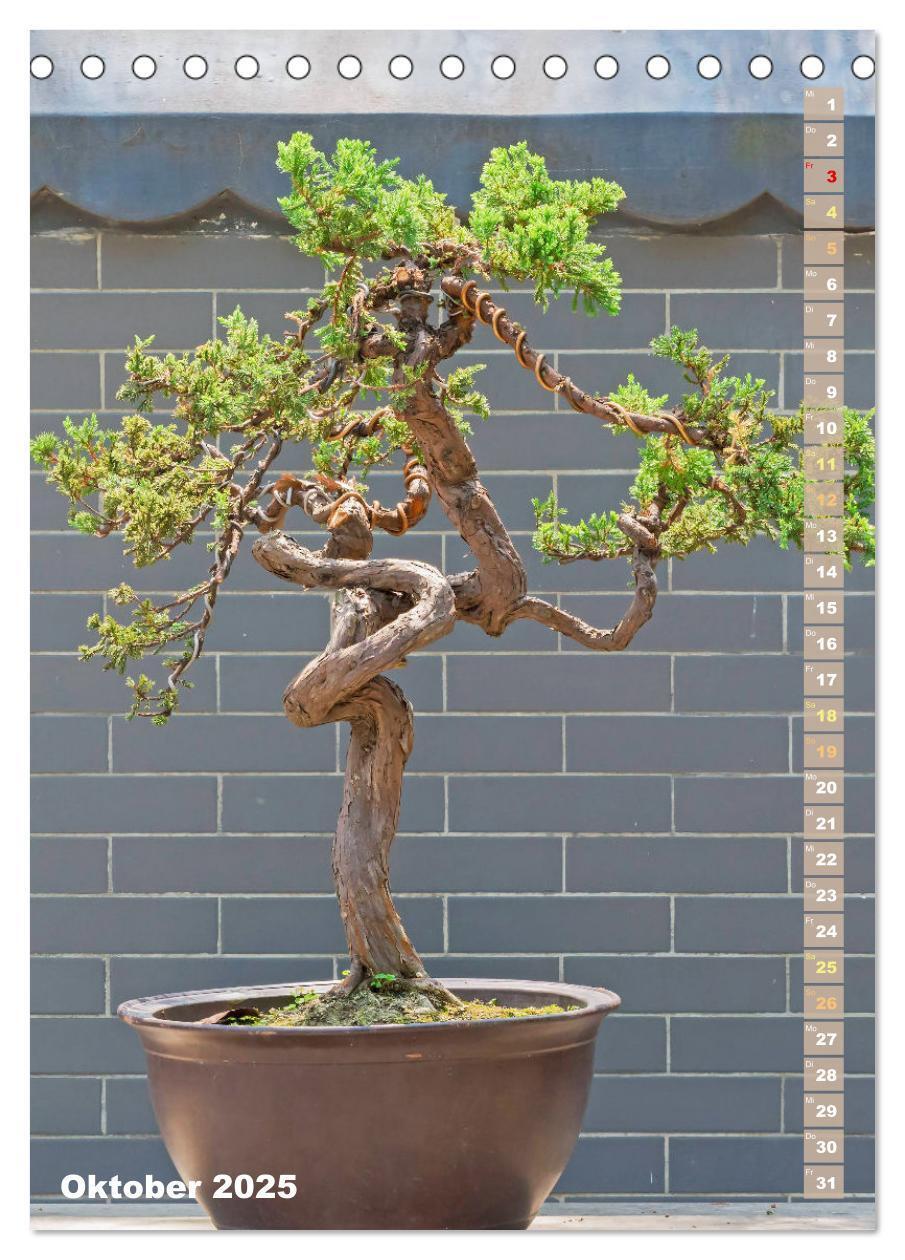 Bild: 9783435852345 | Bonsai: Gartenkunst im Kleinen (Tischkalender 2025 DIN A5 hoch),...