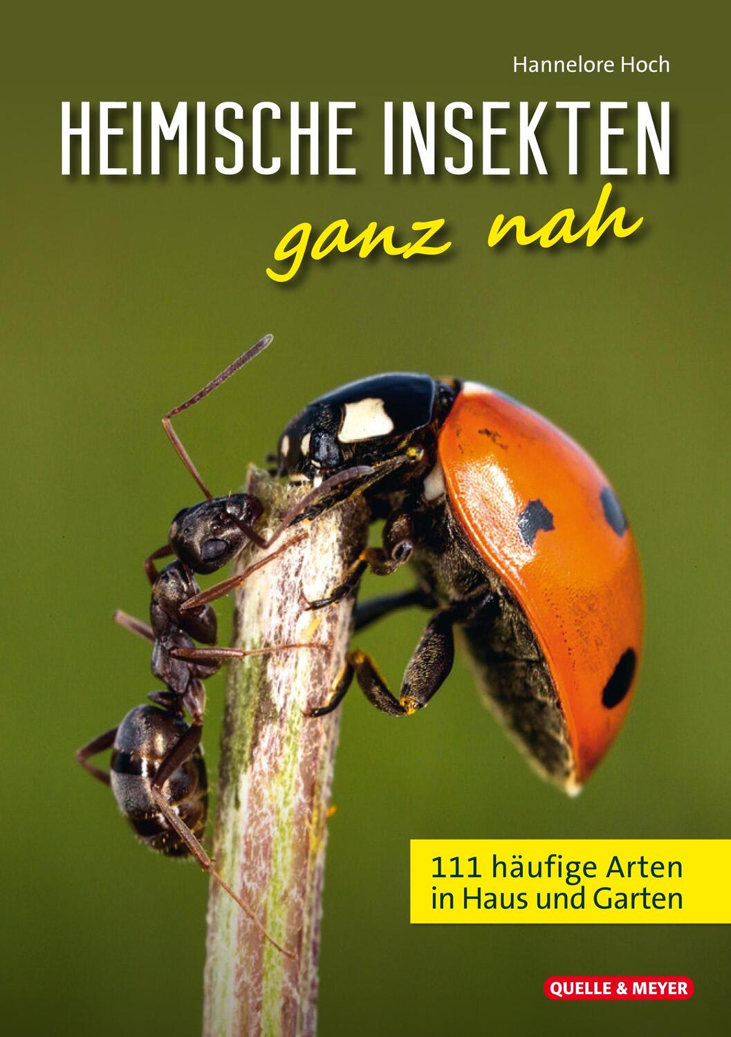 Cover: 9783494019802 | Heimische Insekten ganz nah | 111 häufige Arten in Haus und Garten