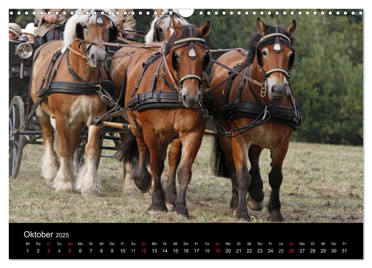 Bild: 9783435694518 | Starke Pferde bei der Arbeit (Wandkalender 2025 DIN A3 quer),...