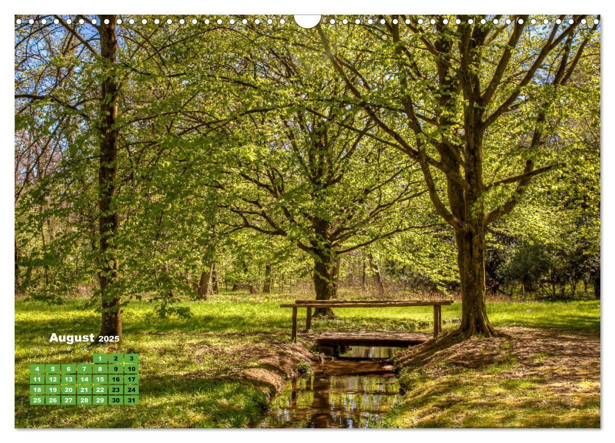 Bild: 9783383971105 | Park Schönbusch Aschaffenburg (Wandkalender 2025 DIN A3 quer),...