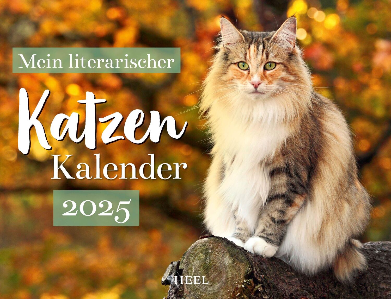 Cover: 9783966648561 | Mein Literarischer Katzenkalender 2025 Wandkalender | Kalender | 14 S.