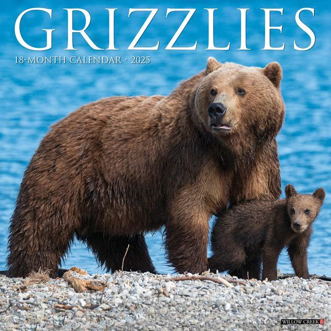 Cover: 9781549243240 | Grizzlies 2025 12 X 12 Wall Calendar | Willow Creek Press | Kalender