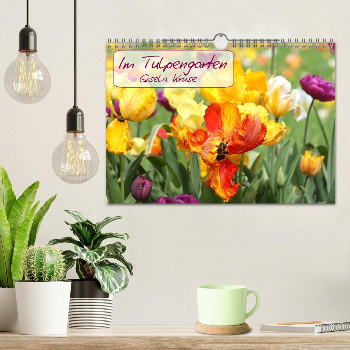 Bild: 9783435238279 | Im Tulpengarten (Wandkalender 2025 DIN A4 quer), CALVENDO...