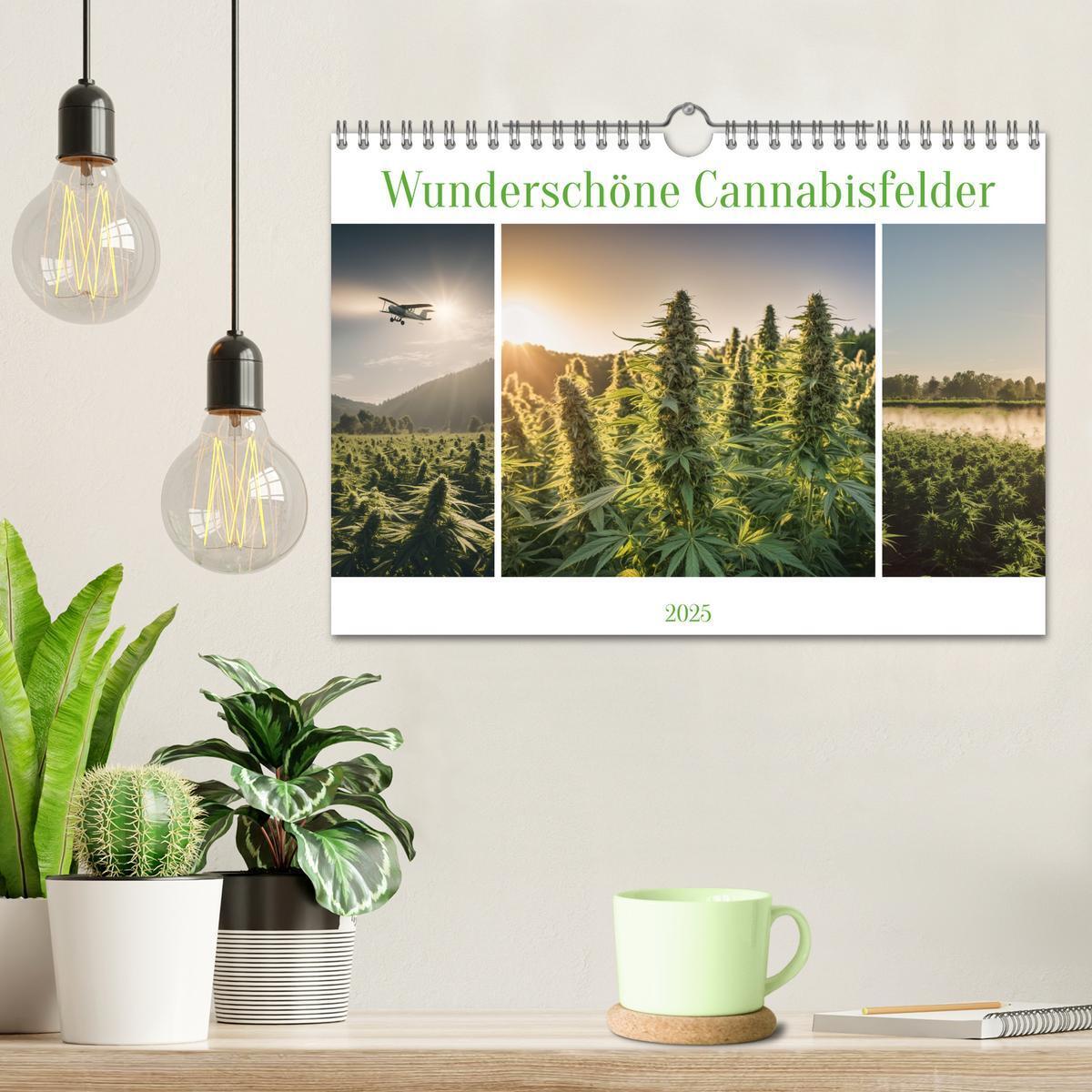 Bild: 9783383807060 | Wunderschöne Cannabisfelder (Wandkalender 2025 DIN A4 quer),...