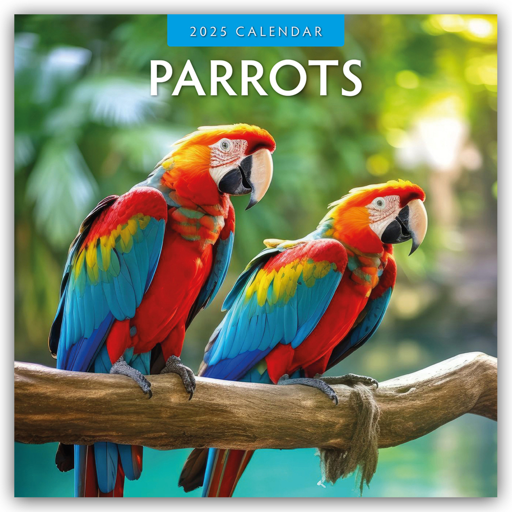 Cover: 9781804424025 | Parrots - Papageien 2025 - 16-Monatskalender | Ltd | Kalender | 13 S.