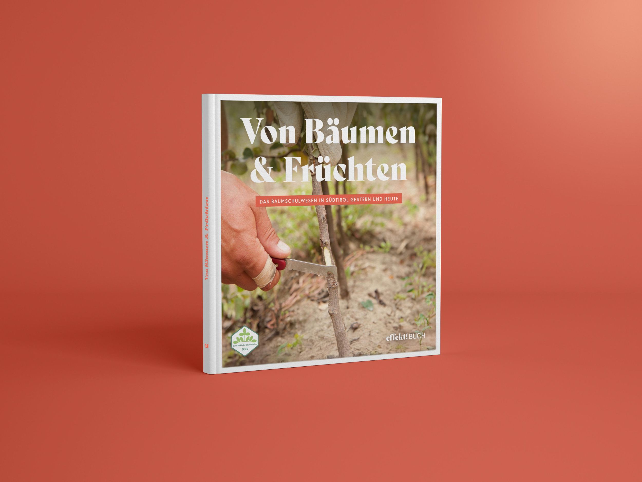 Cover: 9791255320548 | Von Bäumen und Früchten | Christian Andergassen (u. a.) | Taschenbuch