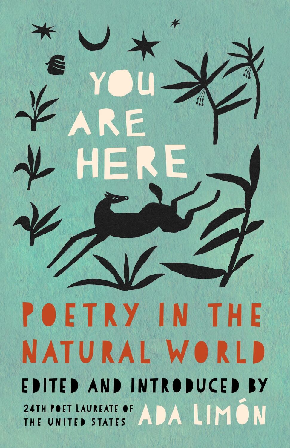 Cover: 9781571315687 | You Are Here | Poetry in the Natural World | Ada Limn | Buch | 2024