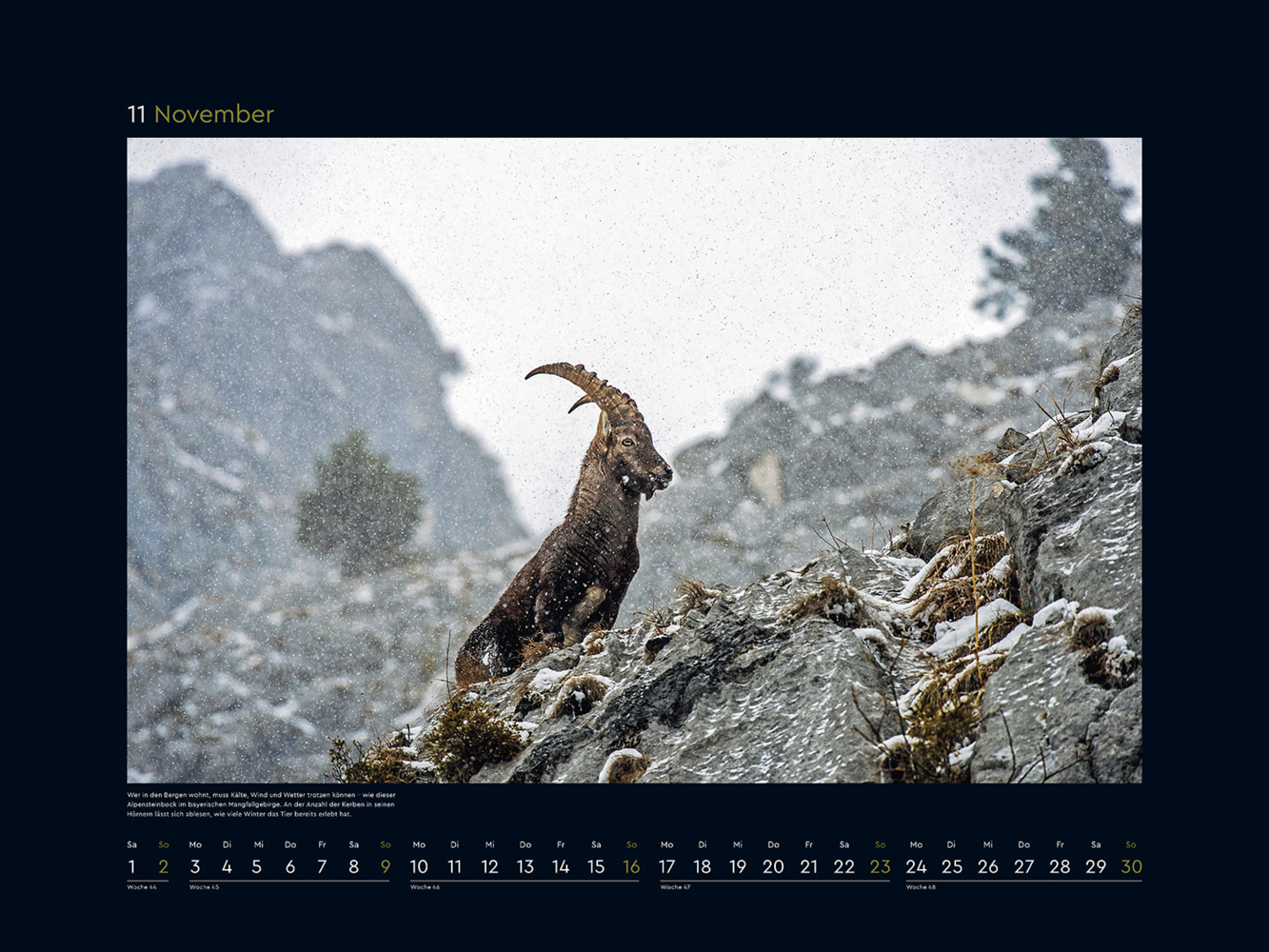 Bild: 9783965913561 | Wildnis Deutschland - KUNTH Wandkalender 2025 | Kalender | 14 S.