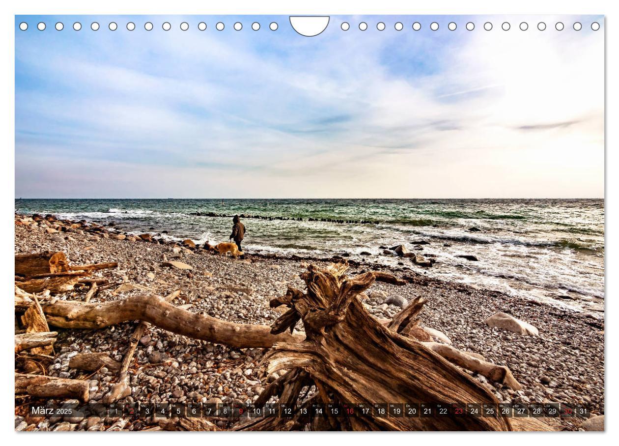 Bild: 9783435171972 | RÜGEN-LIEBE (Wandkalender 2025 DIN A4 quer), CALVENDO Monatskalender