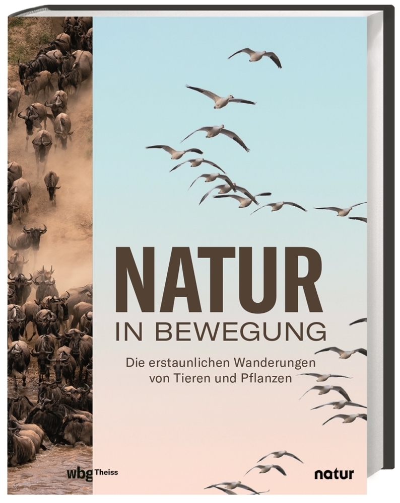 Cover: 9783806245479 | Natur in Bewegung | Andrea Stegemann | Buch | 128 S. | Deutsch | 2022