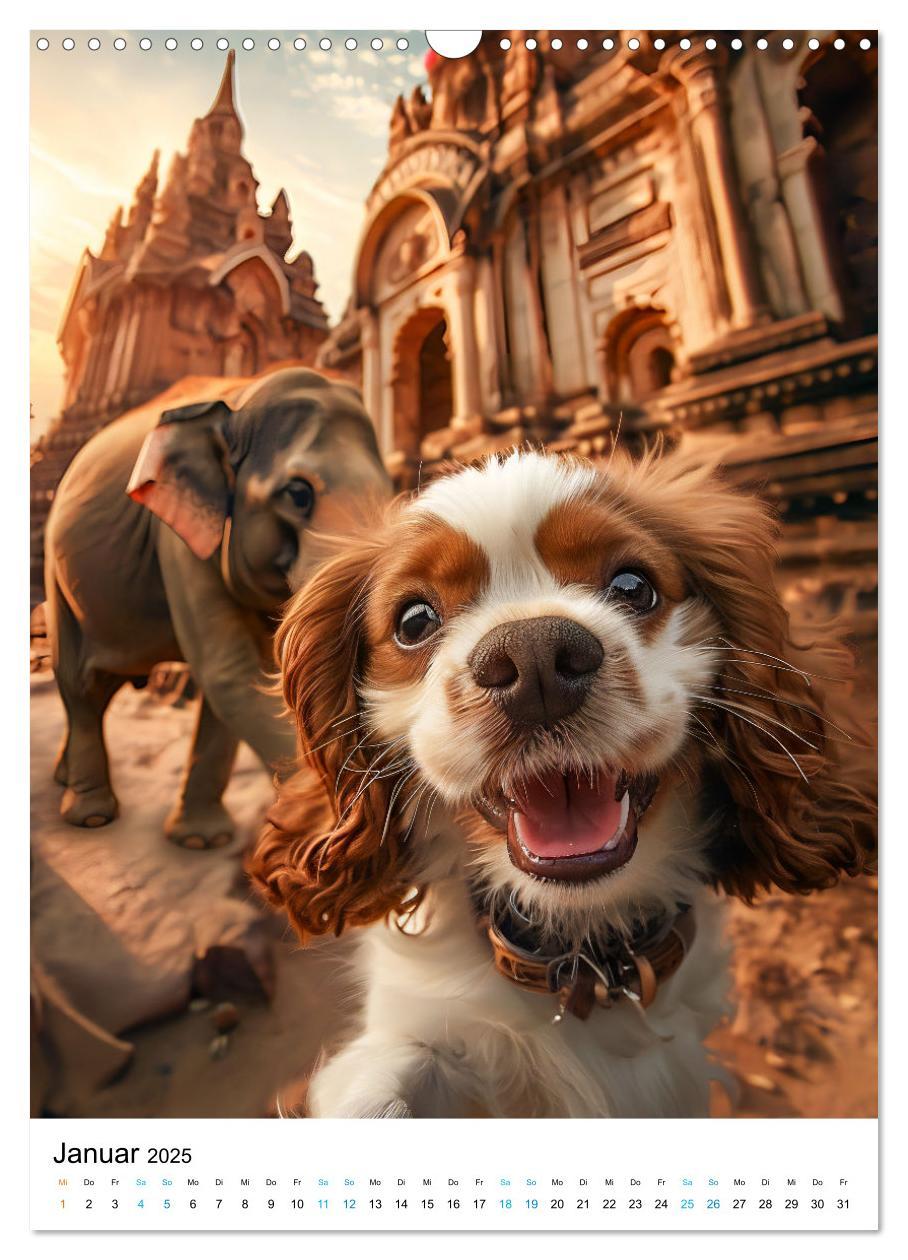 Bild: 9783383763458 | Cavalier King Charles Spaniel - Lustige Weltenreise im Selfie-Modus...