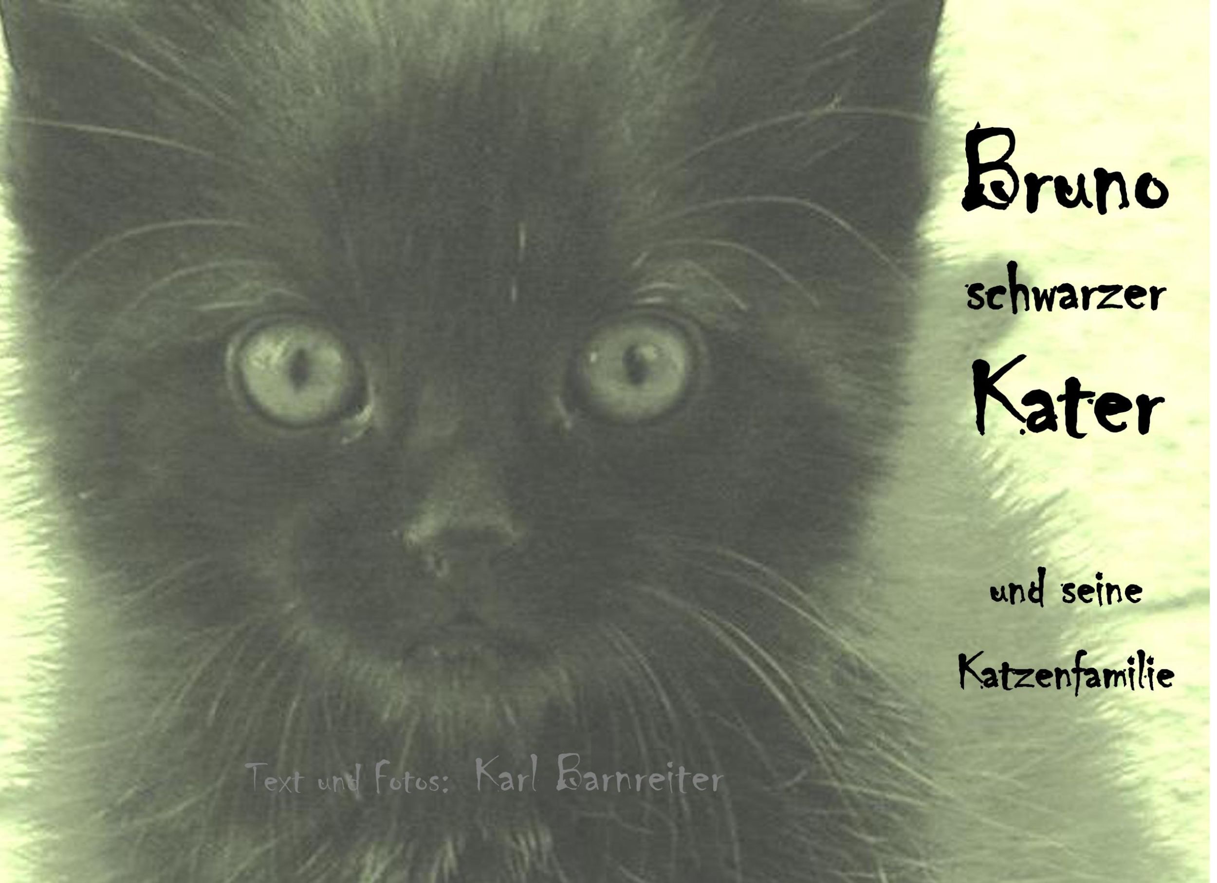 Cover: 9783744885409 | Bruno schwarzer Kater | und seine Katzenfamilie | Karl Barnreiter