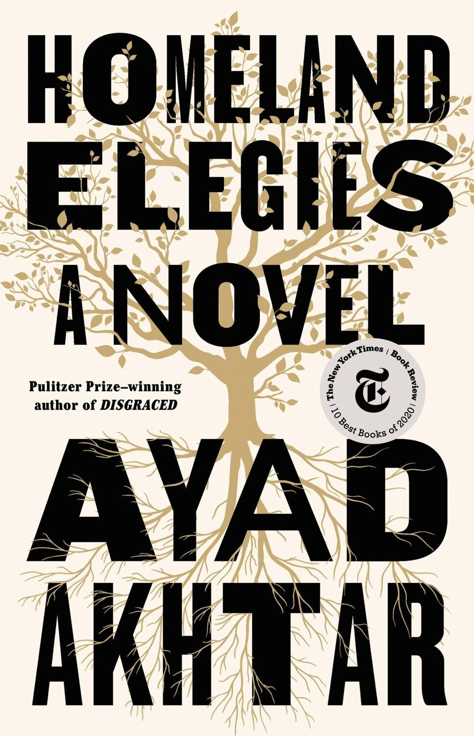 Cover: 9780316496421 | Homeland Elegies | Ayad Akhtar | Buch | Gebunden | Englisch | 2020