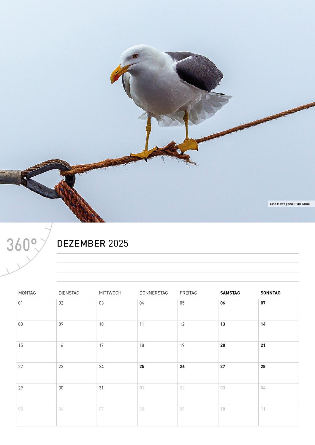 Bild: 9783968555775 | 360° Texel Broschürenkalender 2025 | Tanja Neumann | Kalender | 28 S.