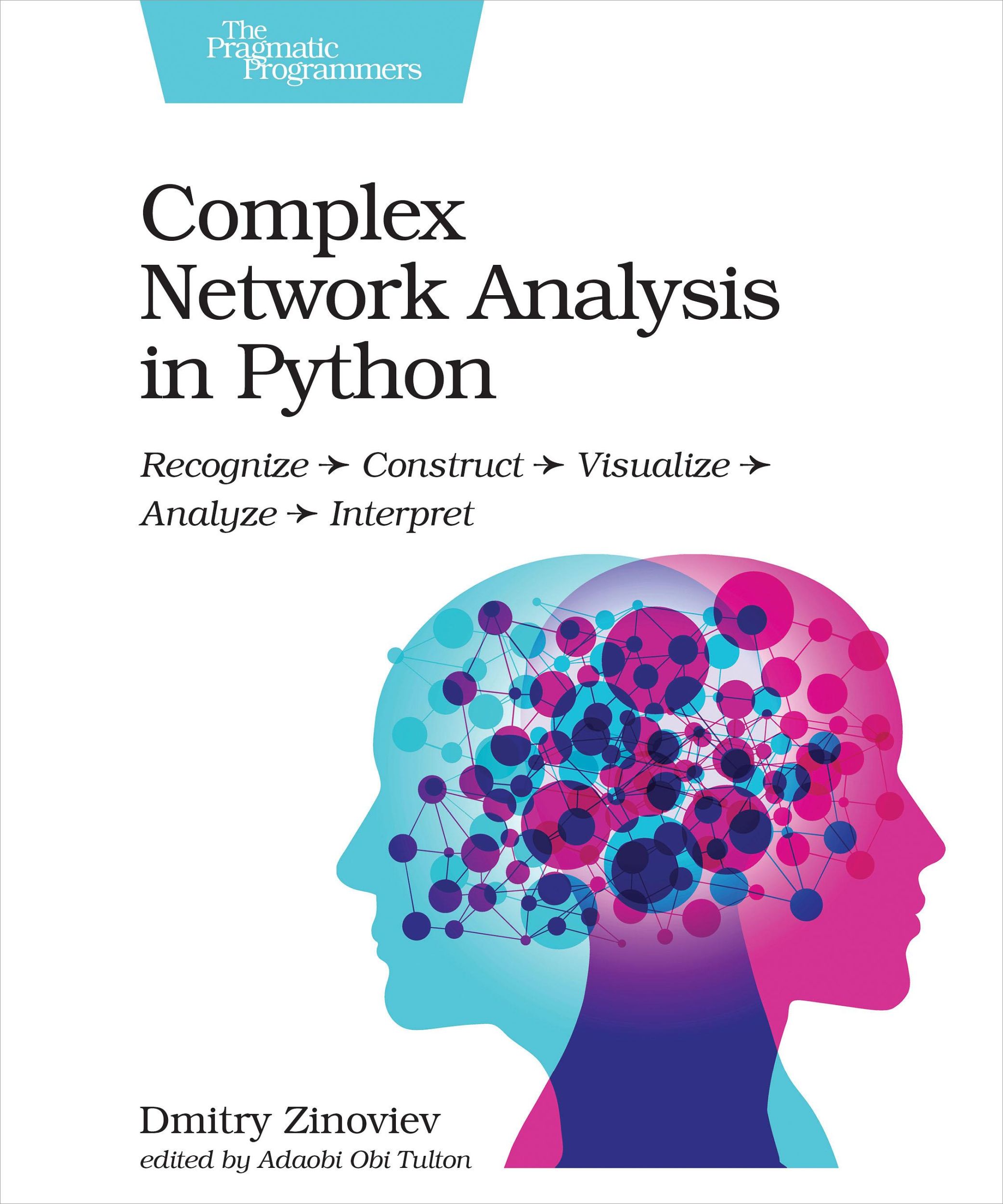 Cover: 9781680502695 | Complex Network Analysis in Python | Dmitry Zinoviev | Taschenbuch