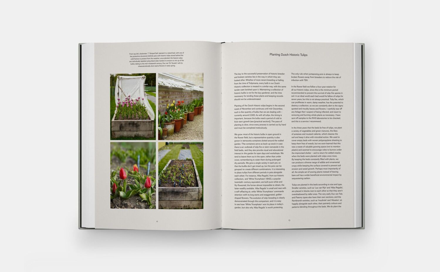 Bild: 9781838667689 | The Tulip Garden | Polly Nicholson (u. a.) | Buch | Phaidon Press