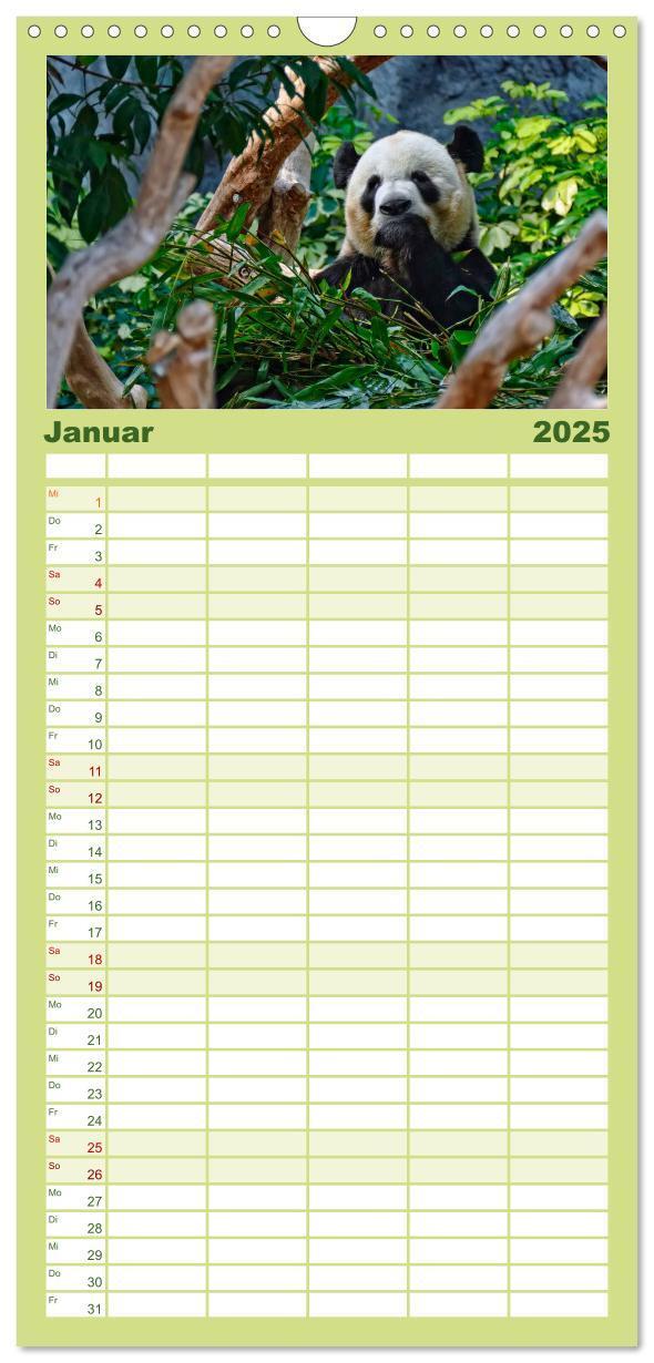 Bild: 9783457116166 | Familienplaner 2025 - Niedlicher Panda mit 5 Spalten (Wandkalender,...