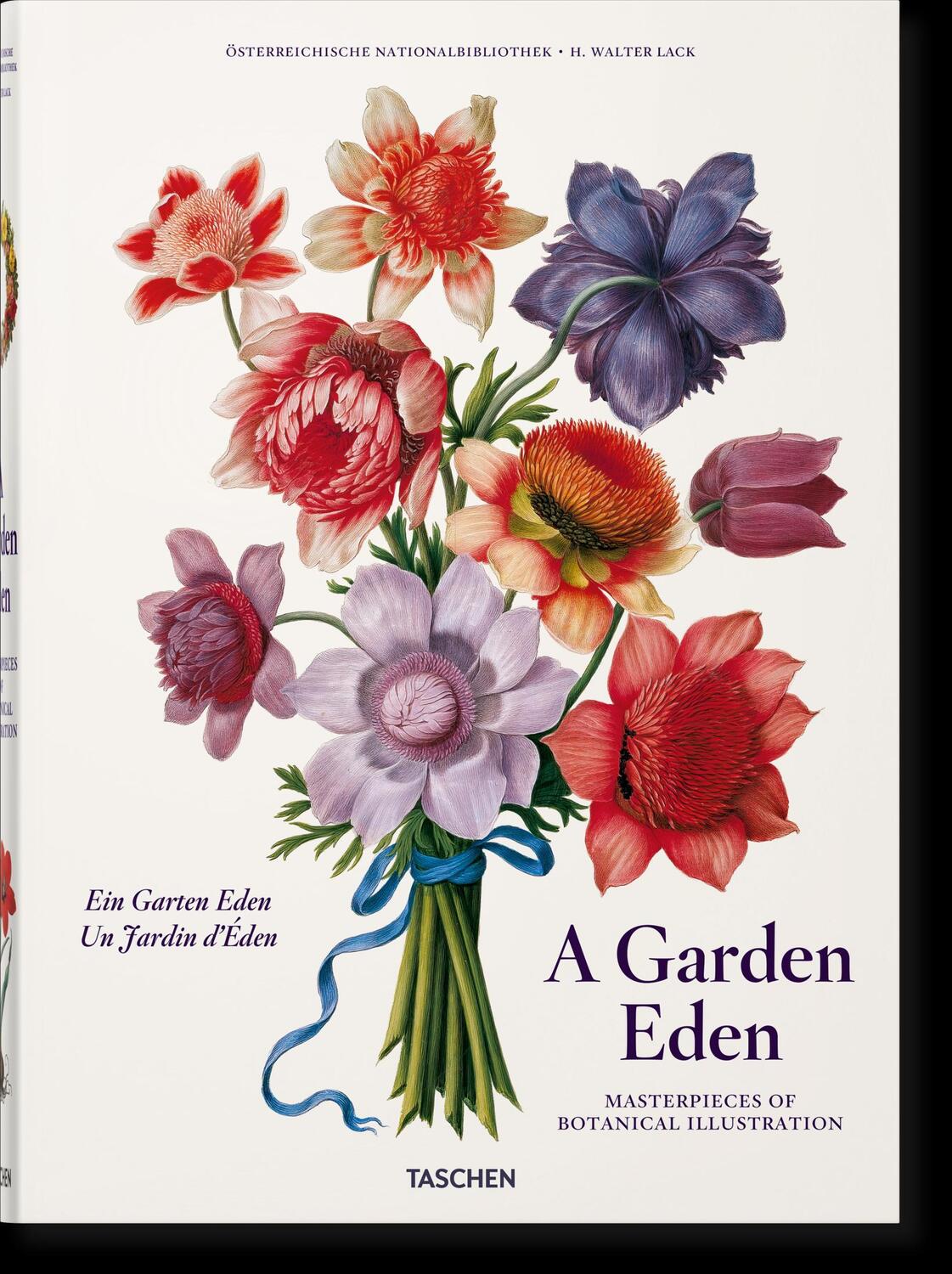 Cover: 9783836577397 | A Garden Eden. Masterpieces of Botanical Illustration | H. Walter Lack