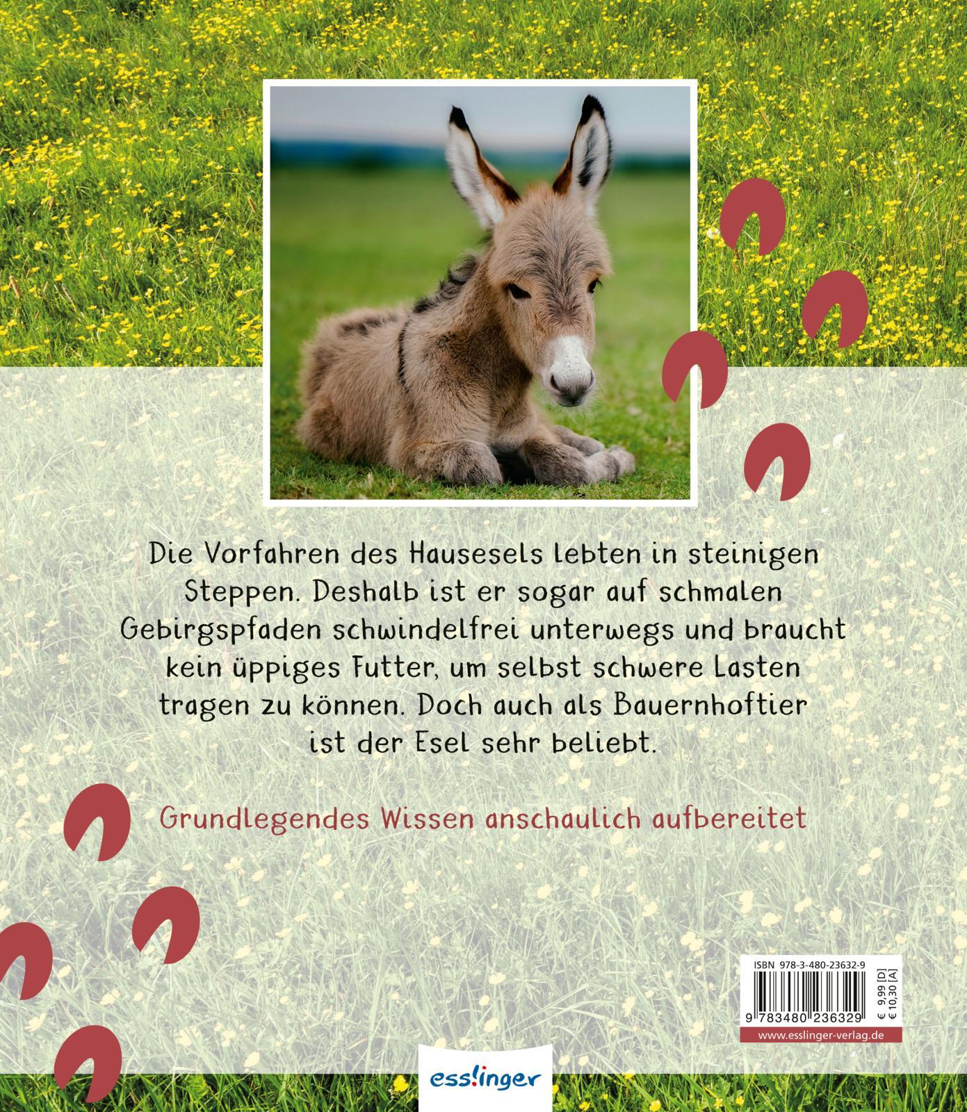 Rückseite: 9783480236329 | Meine große Tierbibliothek: Der Esel | Axel Gutjahr | Buch | 32 S.