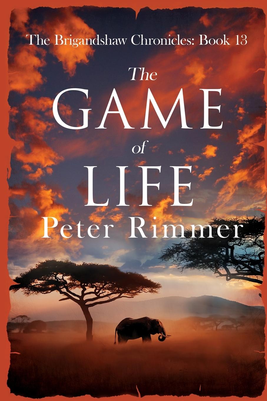 Cover: 9781838286774 | The Game of Life | Peter Rimmer | Taschenbuch | Englisch | 2022