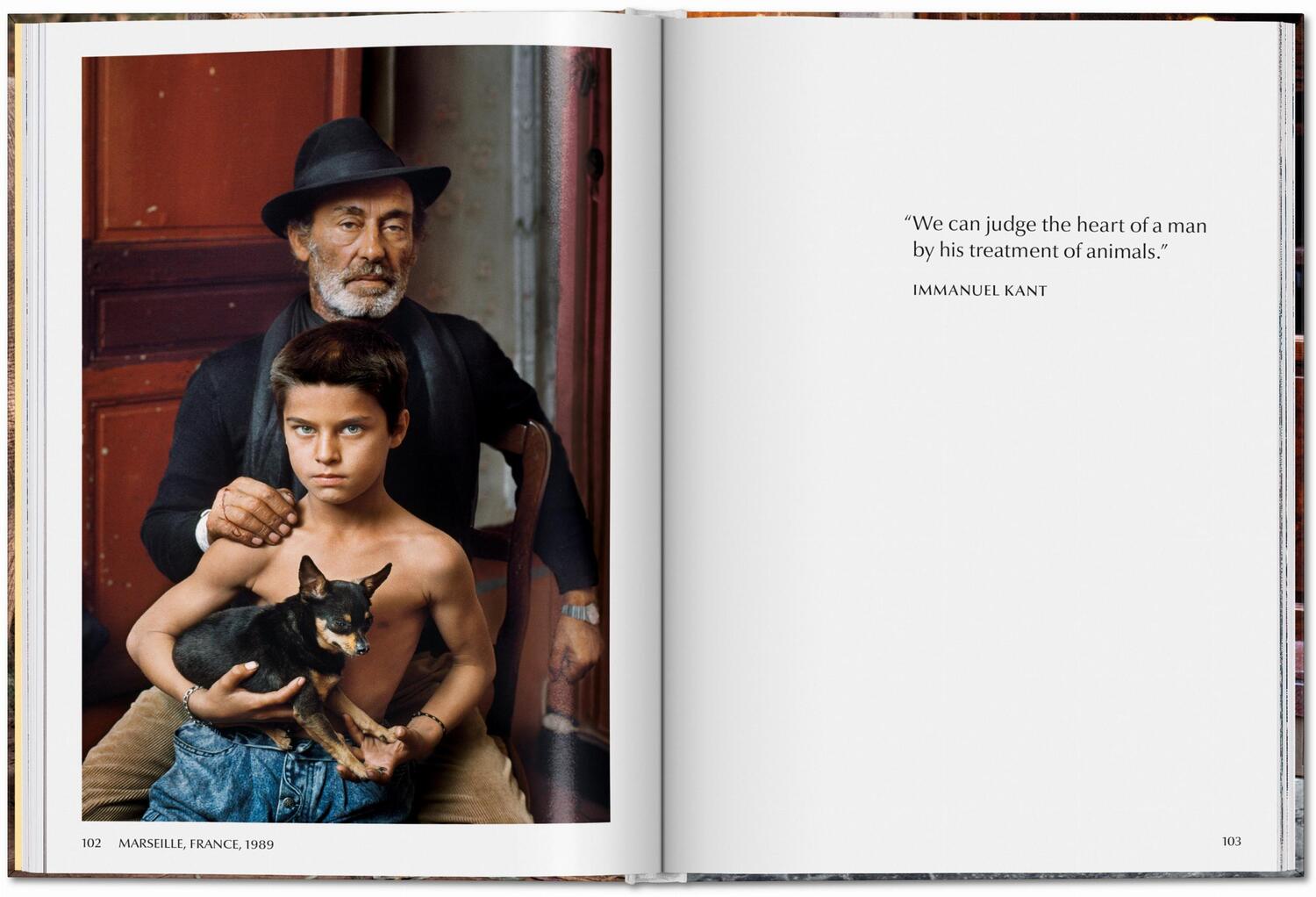 Bild: 9783836597036 | Steve McCurry. Animals | Reuel Golden | Buch | 192 S. | Englisch